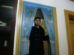 2011 New combination door curtain(printing)